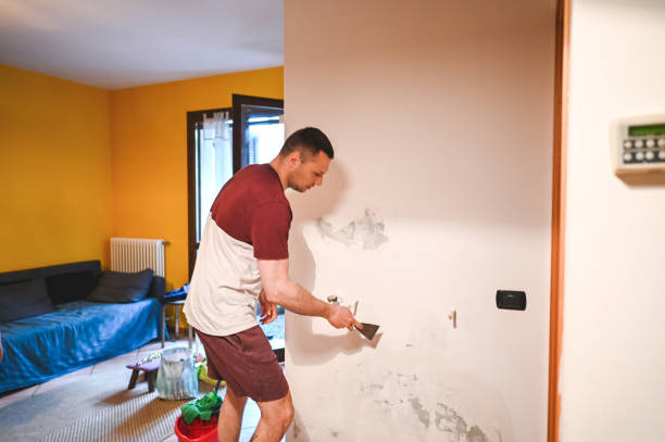 Best Health and Safety Mold Remediation in Intercourse, PA